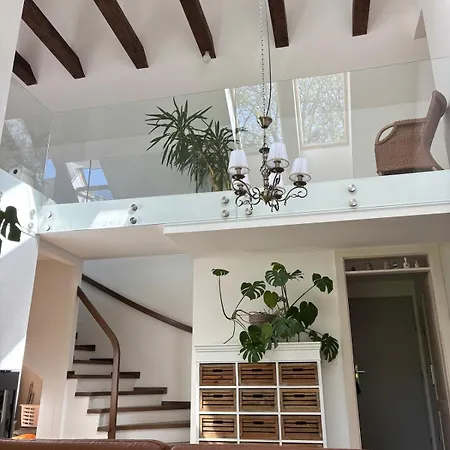 Gallery Loft Myjava Hrachoviste